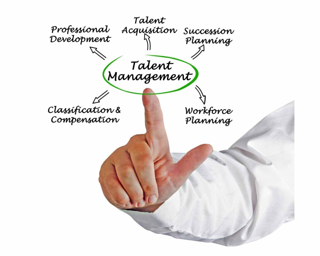 Manajemen talent pool