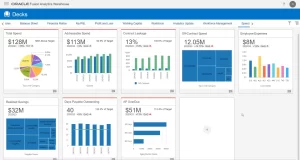 Oracle Fusion HR Analytics dashboard